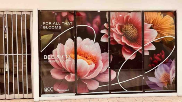 Window Graphics